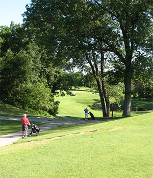Hampshire Country Club Golf Courses in Dowagiac, Michigan :: Come golf our 36 Holes!